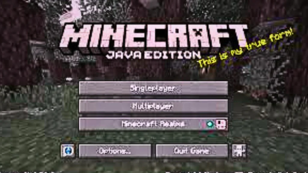 Minecraft Java Edition 2 Minecraft Java Apk